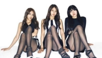 AOA 사뿐사뿐 쇼케이스, 캣우먼 소화하기 위해 ‘뮤지컬 캣츠’ 보며 연구