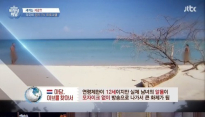 비정상회담 조영남, 프랑스 올누드 방송 출연하고 싶어 '신체조건 갖춰야 한다고?'