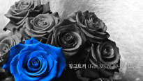 가수 핑크토끼, 감성 래퍼 써니사이드 MJ와 ‘다시 사랑에 빠지다’ 발매