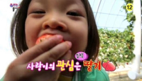슈퍼맨이 돌아왔다 추사랑, 쉬지 않고 딸기 먹방 '바구니에 딴 딸기는 만세에게?'