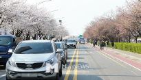 [메인포토] 벚꽃축제 앞둔 여의도 윤중로 풍경