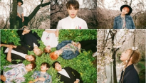 방탄소년단, 새 앨범 ‘화양연화 pt.1’ 사진 공개...만개한 벚꽃+위태로운 눈빛