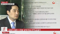 강용석 불륜 스캔들, 상대 여성 A씨 