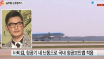 바비킴 결국 ‘벌금 400만원’ 항공사 측 실수가 영향 끼쳐, 소란 행위 중하지 않다