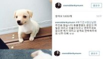 이센스, 강아지 주인 찾아주려다 ‘홀딱 반해’ 나랑 살자…
