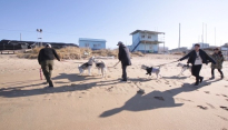 ‘마리와 나’ 출연진, 허스키 가족과 겨울바다 ‘강제 산책’
