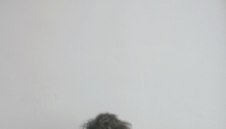 이지형, 진한 여운 전하는 겨울 노래 ‘눈이 내려오면’ 발매